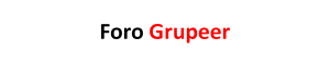 Gruper Foro Fintech Crowdfunding Market