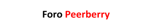 Peerberry Foro Fintech Crowdfunding Market