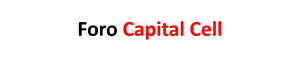 Capital Cell Foro Fintech Crowdfunding Market